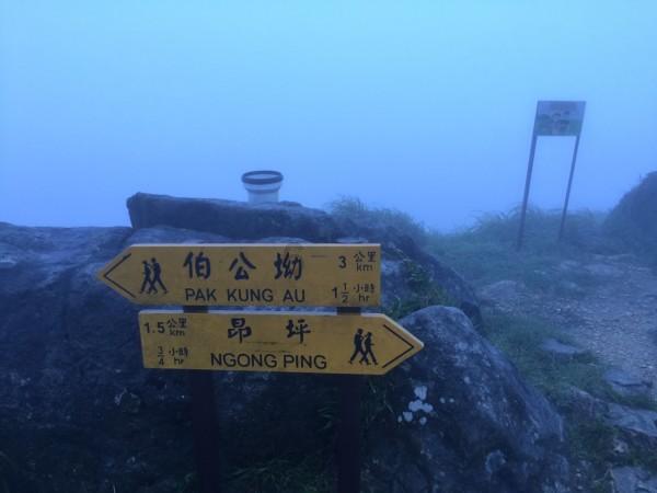 青蛙魔术师